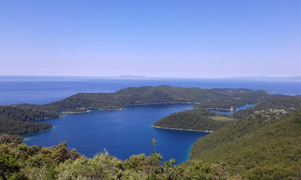 Sunny Side Of Mljet Apartment Babino Polje Exterior photo